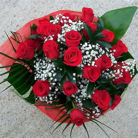 Regala una docena de rosas rojas para el día de san Valentín | Docena ...