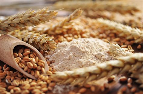 Reglamento especial para el trigo, en el marco de la Ley N° 20.656, que ...