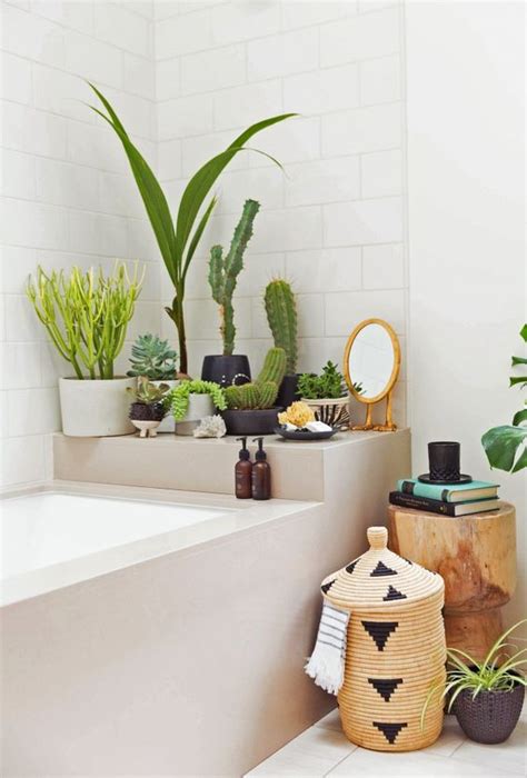 Reglas para decorar un baño con plantas| Todomueblesdebano
