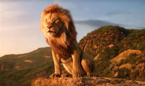 Rei Leão: Veja 5 motivos para assistir no cinema   OsPaparazzi
