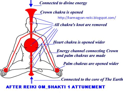 Reiki   A Life Force Energy : Reiki OM Shakti