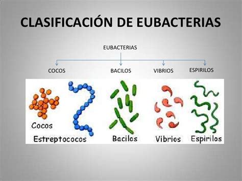 reino de la naturaleza