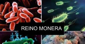 REINO MONERA   Google Slides