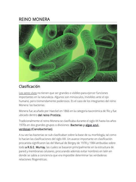 Reino Monera y su descripción | Las bacterias | Biología Celular