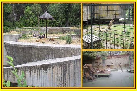 Relatos para todos.: Fotomontajes de Madrid. Visita al Zoo 2.