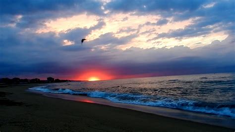 Relax: Amanecer en la playa, sonido del mar HD 1080p ...