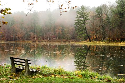 Relaxing Autumn Beauty Landscape Photograph by Christina Rollo