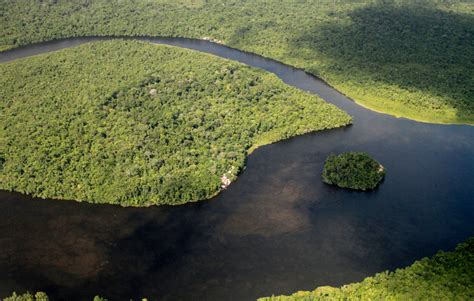 Relevância do Sínodo especial para Amazônia – REPAM