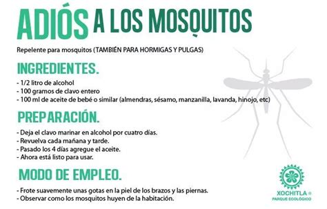 Remedio casero ADIÓS MOSQUITOS | Repelente de mosquitos ...