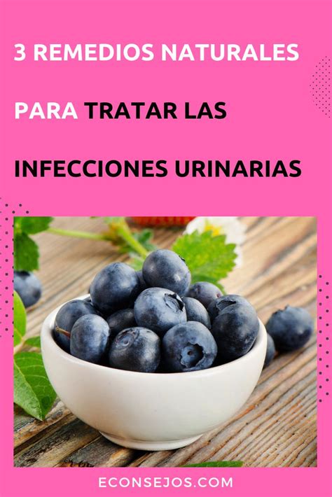 Remedio natural para tratar las infecciones urinarias | Riñones ...