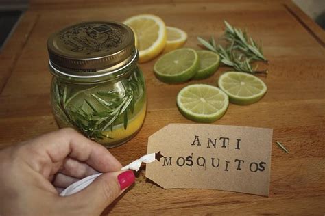 Remedio natural y decorativo contra mosquitos | Remedios ...