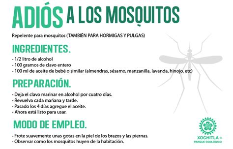 remedios caseros contra los mosquitos | PL._ Bichos | Pinterest