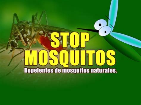 Remedios caseros para ahuyentar mosquitos. Repelente de mosquitos.