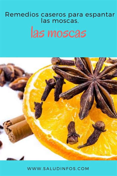 Remedios caseros para espantar las moscas. #Remedios #espantar #moscas