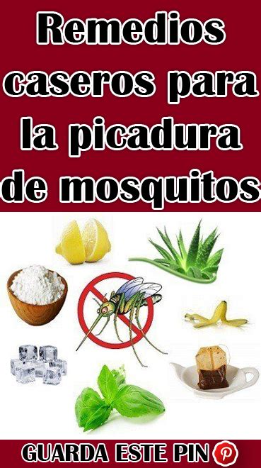 #Remedios #caseros para la #picadura de #mosquitos #salud ...