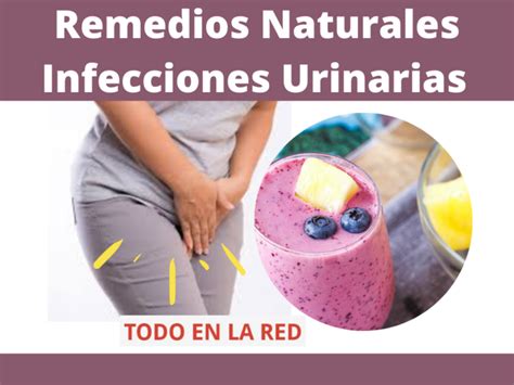 Remedios Naturales contra las infecciones urinarias – Todo en la red
