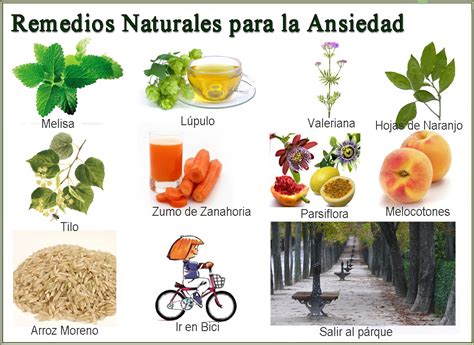 Remedios Naturales para la Ansiedad   Barcelona Alternativa