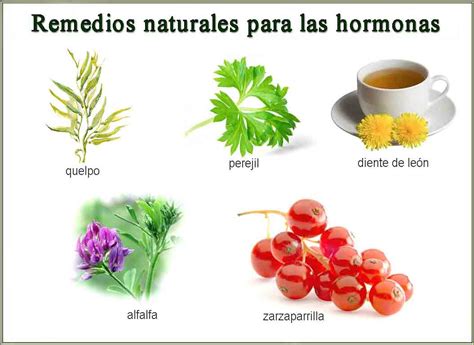 Remedios Naturales para regular las hormonas | Barcelona Alternativa