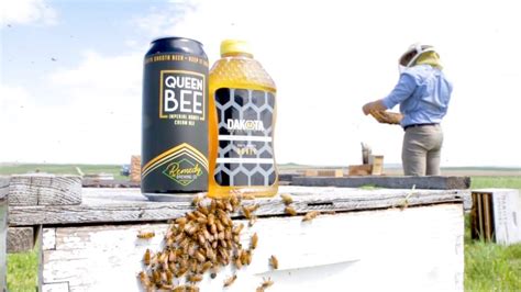 Remedy Brewing Company   Dakota Honey Co. Introductory ...