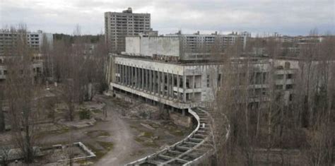 Renace la fauna silvestre en Chernóbil donde hubo una... | Desastre de ...