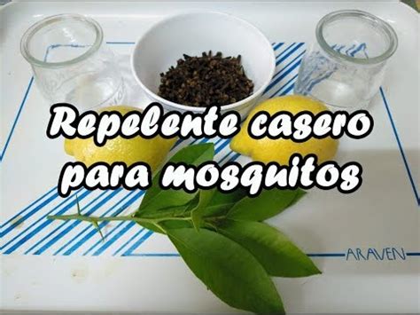Repelente Casero Para Zancudos Con Alcohol Y Clavo De Olor   Crampton ...