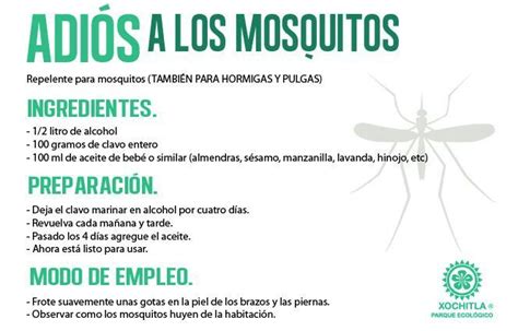 Repelente de mosquitos casero | Repelente de mosquitos ...