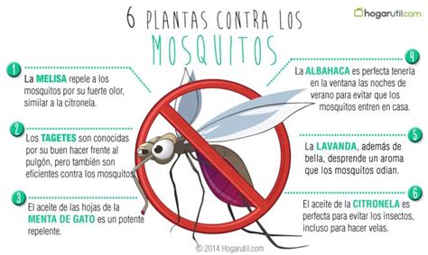 Repelente natural para mosquitos   Hogarmania