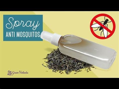 Repelente para mosquitos casero   YouTube