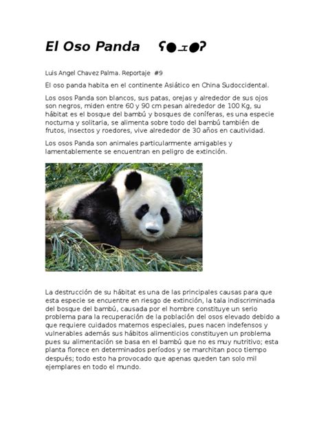 Reportaje Oso Panda | Panda gigante | Naturaleza