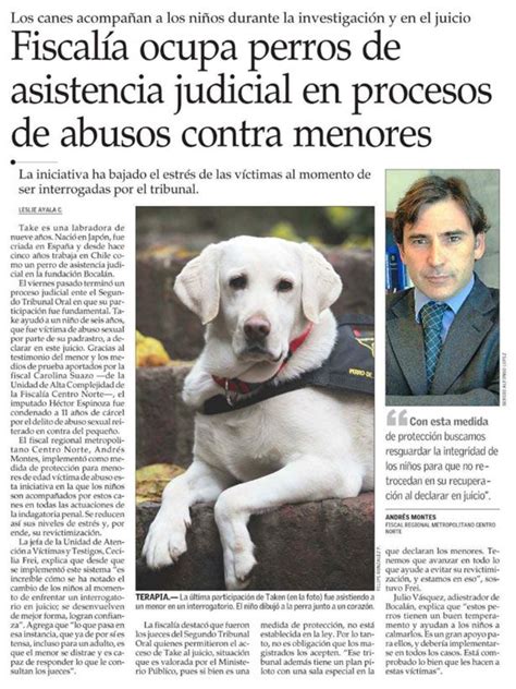 Reportajes De Animales   SEONegativo.com