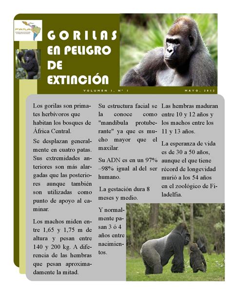 Reportajes De Animales   SEONegativo.com