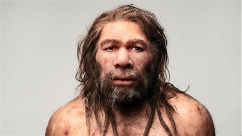 Reportajes y fotografías de Neandertales en National ...