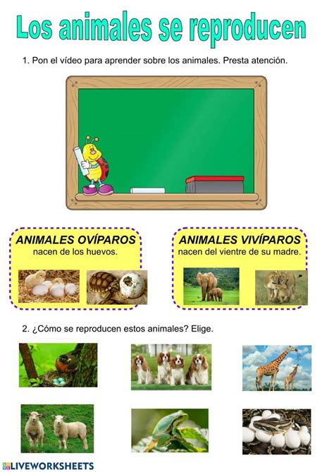 Reproducción en los animales   Ficha interactiva en 2020 | Animales ...