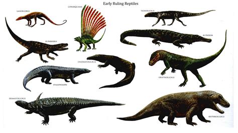 Reptiles ruling early reptilian dinosaurs wallpaper ...