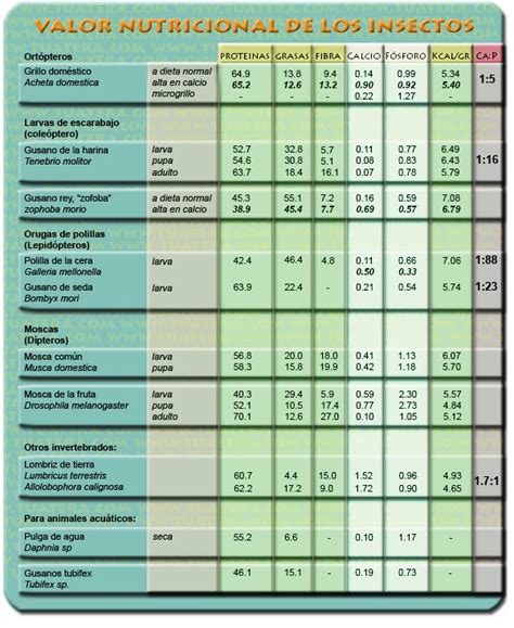 ReptinerReptiles: Tabla nutricional alimento vivo