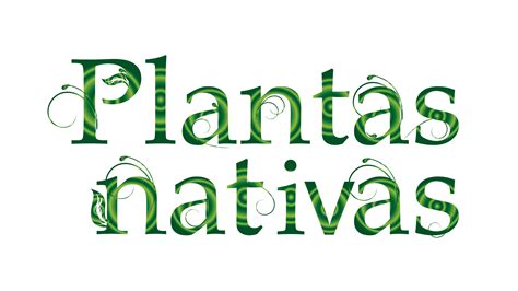 Rescate de Plantas Nativas del Ecuador