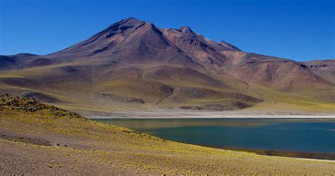 Reserva Nacional Los Flamencos | Chile Travel