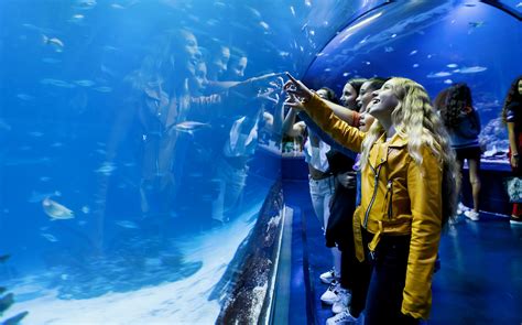 Reserva tus entradas para el Atlantis Aquarium Madrid ‘2021’