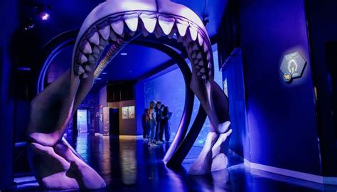 Reserva tus entradas para el Atlantis Aquarium Madrid ‘2021’