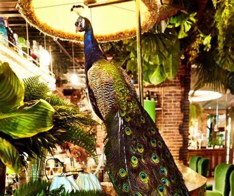 Restaurante Amazónico… El local para ver y ser visto ...