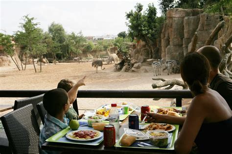 Restaurante Samburu en Bioparc Valencia: Opiniones e Info ...