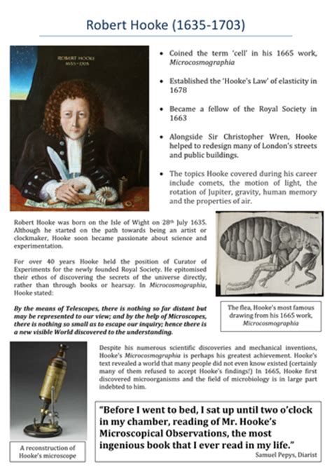 Restoration England: Robert Hooke Fact File | Teaching ...