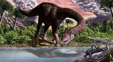 Restos de un dinosaurio hallado en Neuquén puede ser el ...