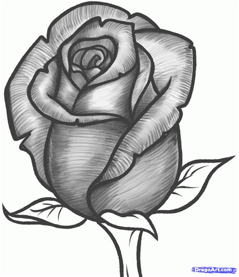 Resultado de imagen para dibujo de rosas para pintar | Rose sketch ...