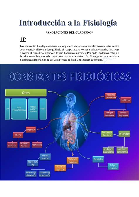 Resumen completo de Fisiologia   StuDocu