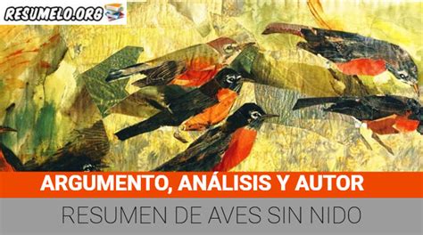 Resumen de AVES SIN NIDO   Resumen CORTO y más