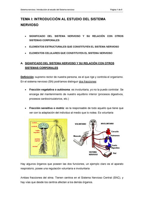 Resumen Fisiología: Introducción al estudio del Sistema nervioso   StuDocu