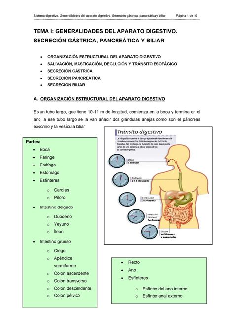 Resumen Fisiología: Sistema digestivo Generalidades del aparato ...