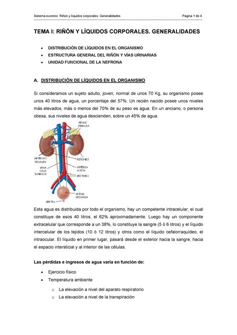Resumen Fisiología: Sistema excretor Generalidades   StuDocu