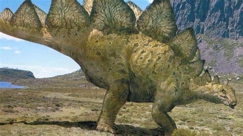 Revelan cuánto habría pesado uno de los dinosaurios más ...